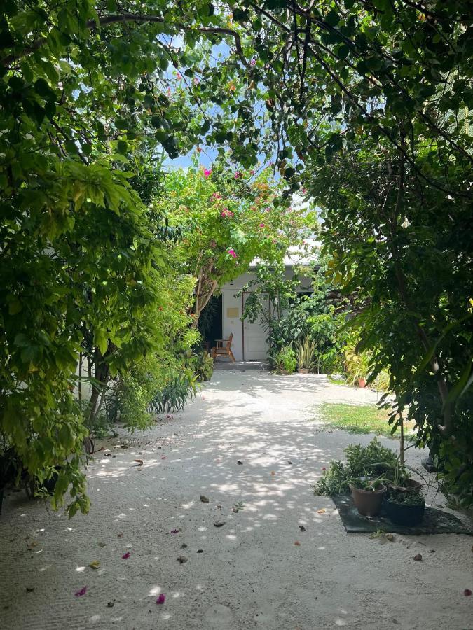 Lagoon Villa Maldives Thoddoo Ngoại thất bức ảnh
