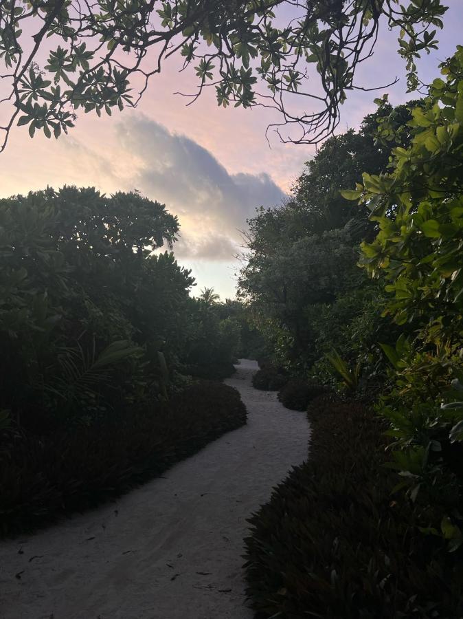 Lagoon Villa Maldives Thoddoo Ngoại thất bức ảnh