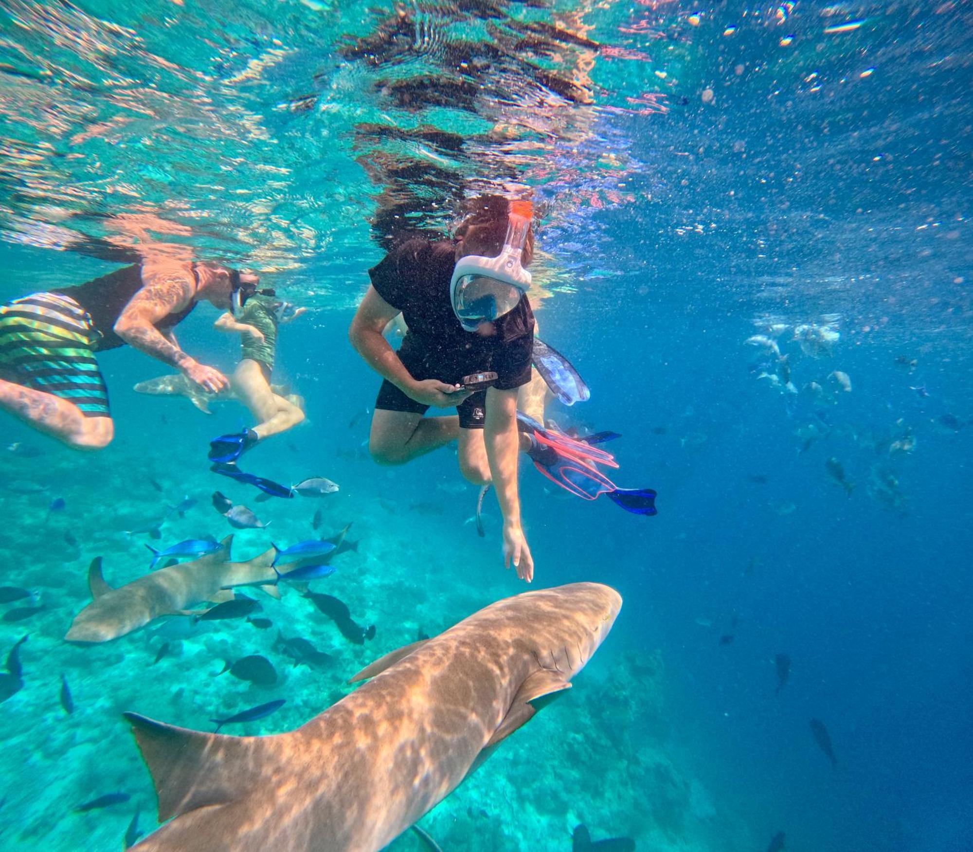 Lagoon Villa Maldives Thoddoo Ngoại thất bức ảnh