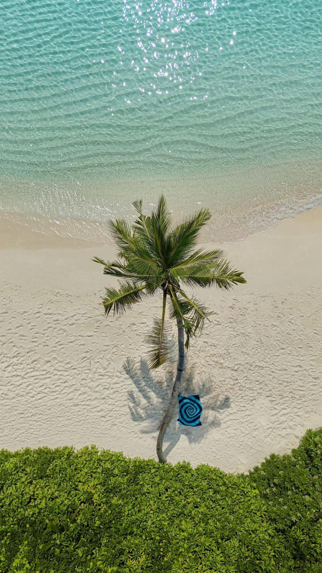 Lagoon Villa Maldives Thoddoo Ngoại thất bức ảnh