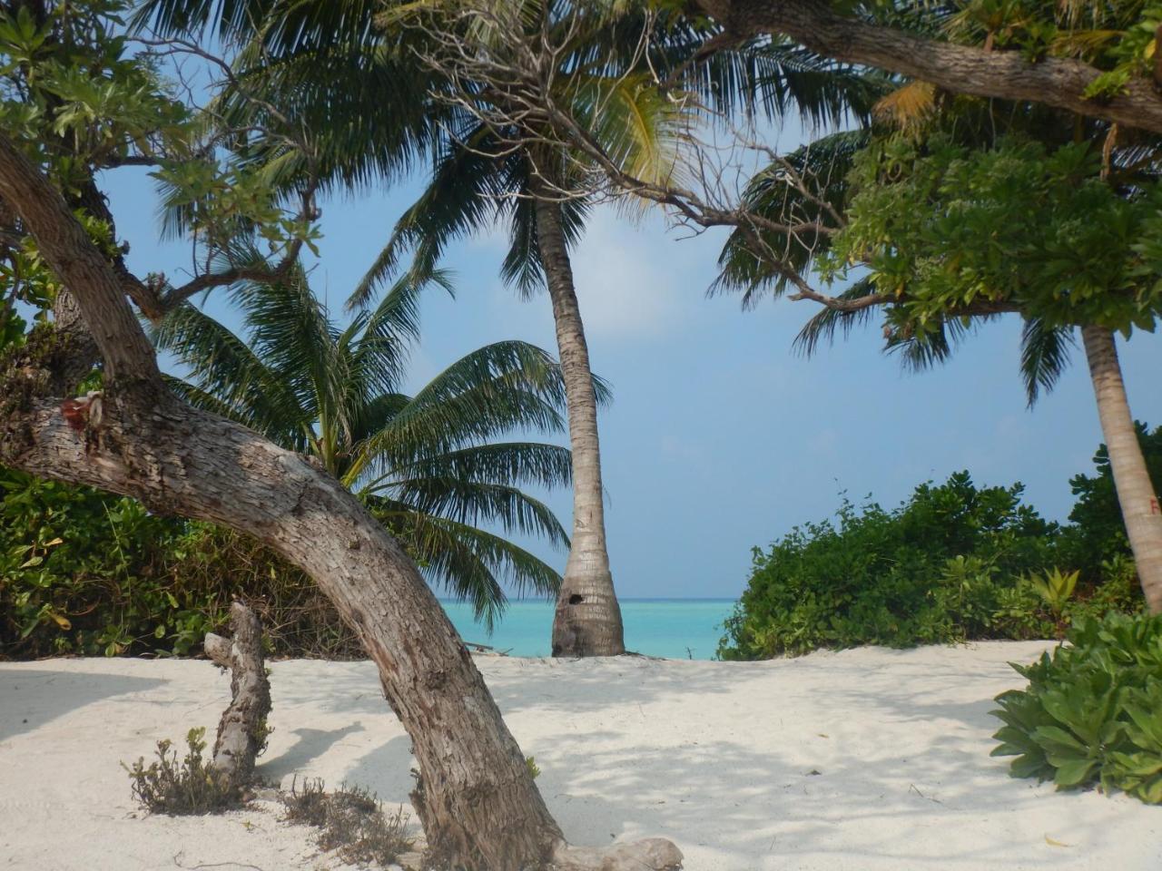 Lagoon Villa Maldives Thoddoo Ngoại thất bức ảnh